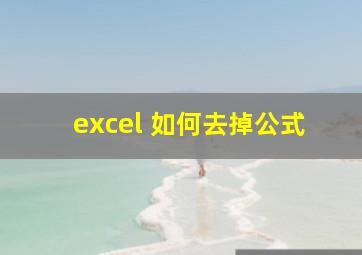 excel 如何去掉公式